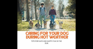 Tips for Safe and Happy Fun in the Sun