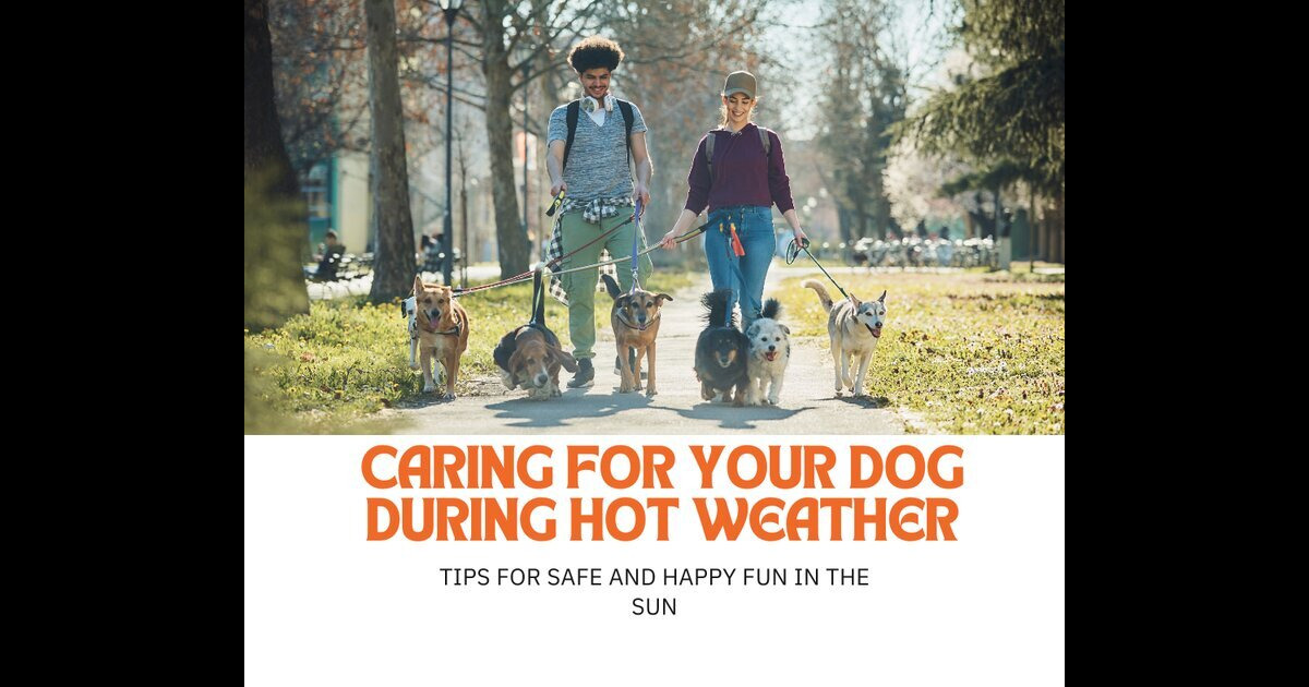Tips for Safe and Happy Fun in the Sun